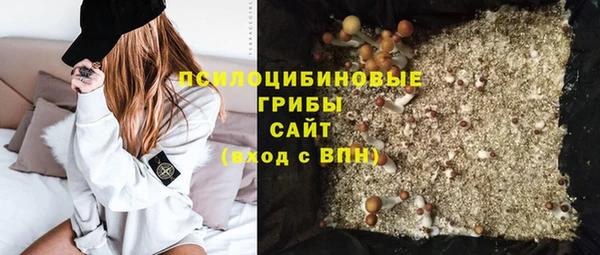 эйфоретик Медвежьегорск
