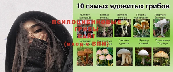 эйфоретик Медвежьегорск